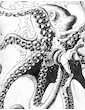 SURE Women's Tank Top - The Giant Kraken Octopus Sleeveless