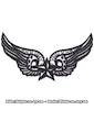 Star And Wings Patch Iron Sew On Air Force Biker Rocker